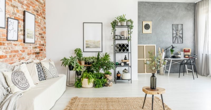 Decorate Around a TV - Plants in Living Room