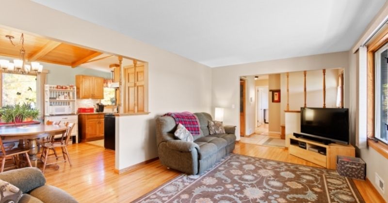 Cozy Apartment Living Room Ideas - Area Rugs