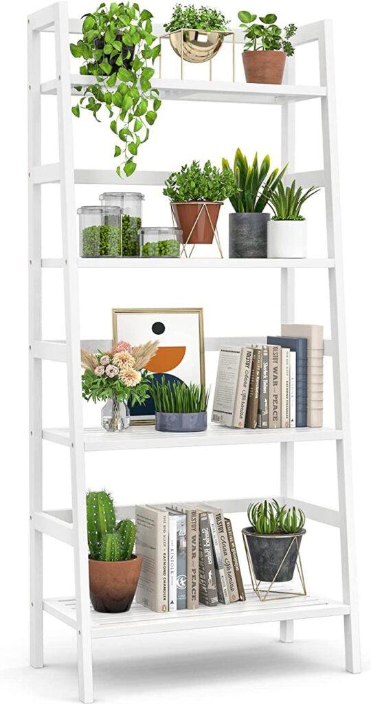 How to Style Bookshelves - Bookshelf with Plants