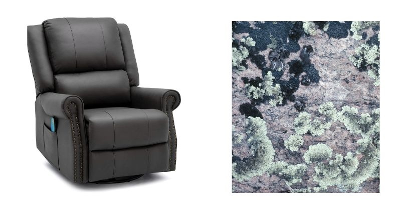 Why Is My Recliner Making Me Itch - Bacteria and Fungus