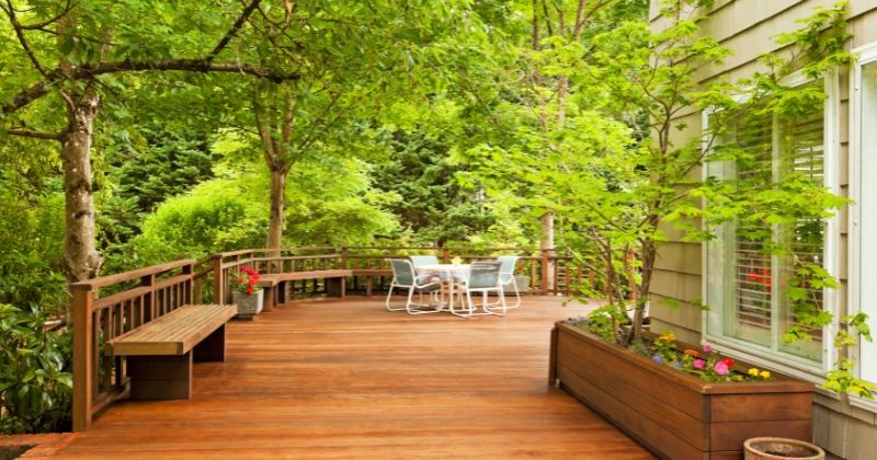 Cheap Patio Cover Ideas - Trees for Shade by Deck