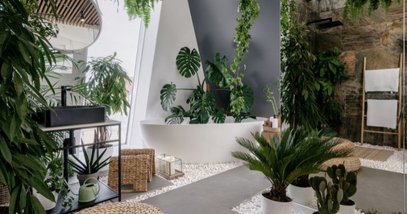 Tips on How to Decorate Your Home - Greenery